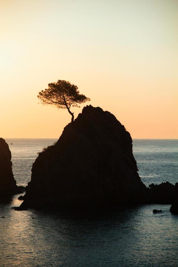 Mana Mana Youth Hostel Tossa de Mar Dış mekan fotoğraf